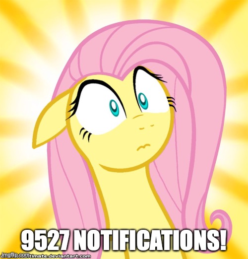 Shocked Fluttershy | 9527 NOTIFICATIONS! | image tagged in shocked fluttershy | made w/ Imgflip meme maker