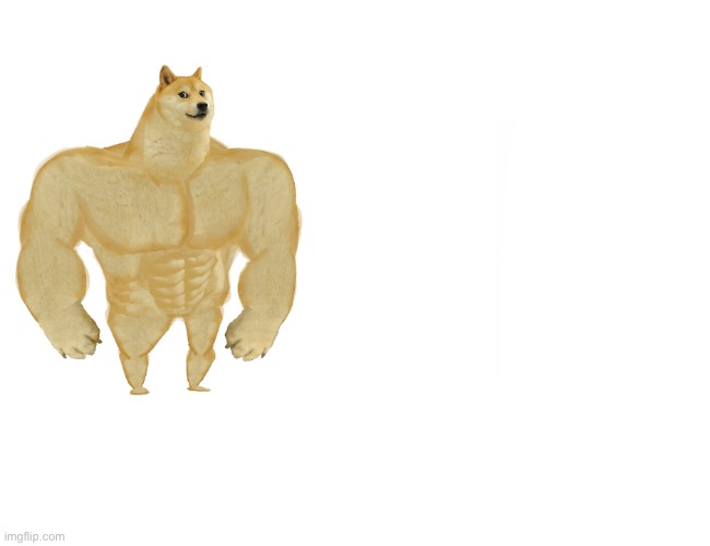 When something is missing | image tagged in memes,buff doge vs cheems | made w/ Imgflip meme maker