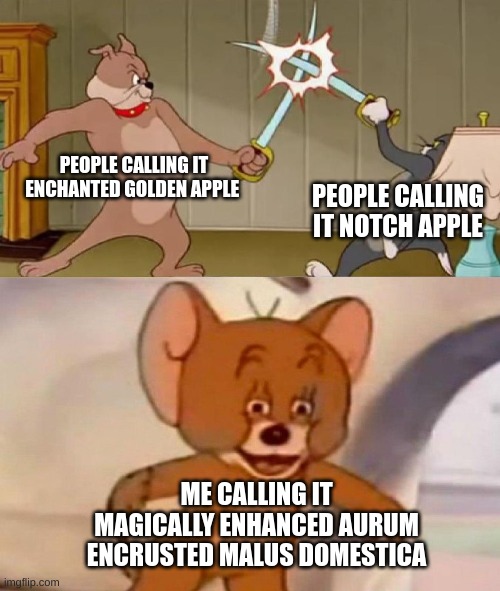 one of these memes | PEOPLE CALLING IT ENCHANTED GOLDEN APPLE; PEOPLE CALLING IT NOTCH APPLE; ME CALLING IT MAGICALLY ENHANCED AURUM ENCRUSTED MALUS DOMESTICA | image tagged in tom and jerry swordfight | made w/ Imgflip meme maker