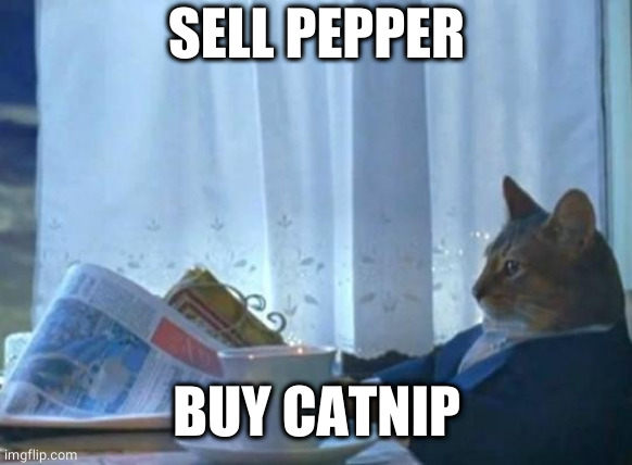 Trader Cat | SELL PEPPER BUY CATNIP | image tagged in trader cat | made w/ Imgflip meme maker