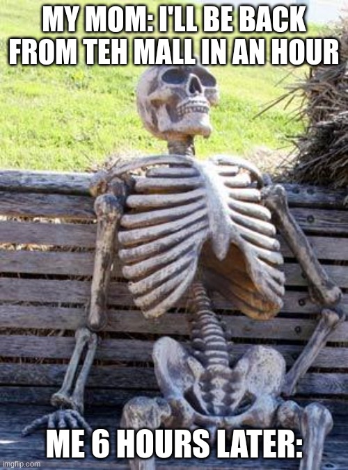 Waiting Skeleton Meme | MY MOM: I'LL BE BACK FROM TEH MALL IN AN HOUR; ME 6 HOURS LATER: | image tagged in memes,waiting skeleton | made w/ Imgflip meme maker