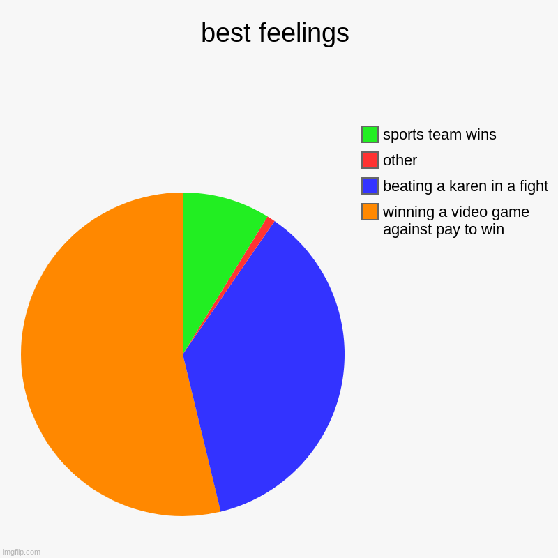 YES | best feelings | winning a video game against pay to win, beating a karen in a fight, other, sports team wins | image tagged in charts,pie charts | made w/ Imgflip chart maker