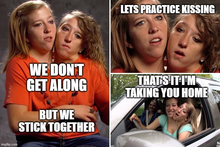 This Story Is Amazing Google Siamese Twins And Watch Some Time | LETS PRACTICE KISSING; WE DON'T GET ALONG; THAT'S IT I'M TAKING YOU HOME; BUT WE STICK TOGETHER | image tagged in siamese twins,memes,funny,funny memes | made w/ Imgflip meme maker