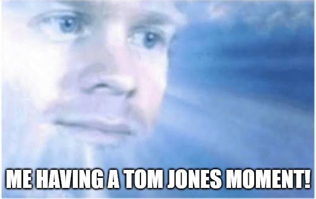 i realize | ME HAVING A TOM JONES MOMENT! | image tagged in in heaven looking down | made w/ Imgflip meme maker