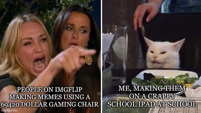 Angry lady cat | PEOPLE ON IMGFLIP MAKING MEMES USING A 69420 DOLLAR GAMING CHAIR; ME, MAKING THEM ON A CRAPPY SCHOOL IPAD AT SCHOOL | image tagged in angry lady cat | made w/ Imgflip meme maker