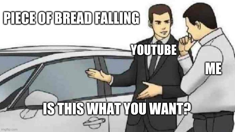 Car Salesman Slaps Roof Of Car Meme |  PIECE OF BREAD FALLING; YOUTUBE; ME; IS THIS WHAT YOU WANT? | image tagged in memes,car salesman slaps roof of car | made w/ Imgflip meme maker