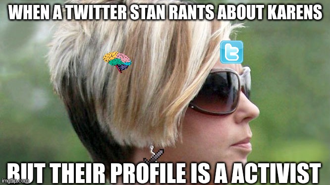 karens are still there, twitter activists | WHEN A TWITTER STAN RANTS ABOUT KARENS; BUT THEIR PROFILE IS A ACTIVIST | image tagged in karen | made w/ Imgflip meme maker