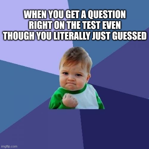 The best feeling ever be like | WHEN YOU GET A QUESTION RIGHT ON THE TEST EVEN THOUGH YOU LITERALLY JUST GUESSED | image tagged in memes,success kid,guess,test | made w/ Imgflip meme maker