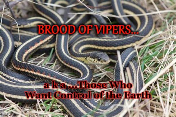 Brood of Vipers | BROOD OF VIPERS... a k a ...Those Who Want Control of the Earth | image tagged in control,power,overlords,not for sale,earth,viper | made w/ Imgflip meme maker