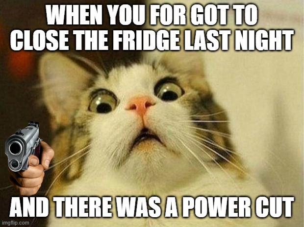 meme | WHEN YOU FOR GOT TO CLOSE THE FRIDGE LAST NIGHT; AND THERE WAS A POWER CUT | image tagged in memes,scared cat | made w/ Imgflip meme maker