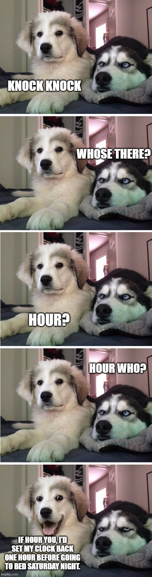 Knock Knock Dogs | KNOCK KNOCK; WHOSE THERE? HOUR? HOUR WHO? IF HOUR YOU, I'D SET MY CLOCK BACK ONE HOUR BEFORE GOING TO BED SATURDAY NIGHT. | image tagged in knock knock dogs | made w/ Imgflip meme maker