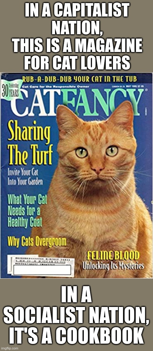 Keep the cats, start eating liberals |  IN A CAPITALIST NATION, THIS IS A MAGAZINE FOR CAT LOVERS; IN A SOCIALIST NATION, IT'S A COOKBOOK | image tagged in cats,socialists | made w/ Imgflip meme maker