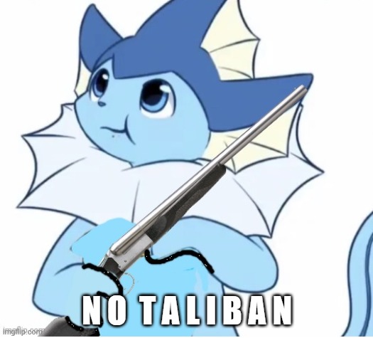 Vaporeon with gun | N O  T A L I B A N | image tagged in vaporeon with gun | made w/ Imgflip meme maker