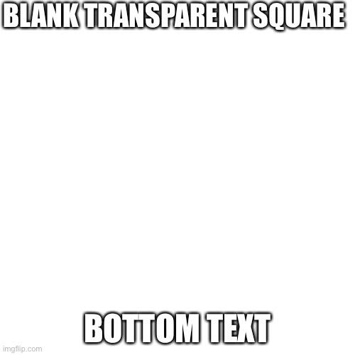 Blank transparent square | BLANK TRANSPARENT SQUARE; BOTTOM TEXT | image tagged in memes,blank transparent square,blank,lol so funny,bottom text | made w/ Imgflip meme maker