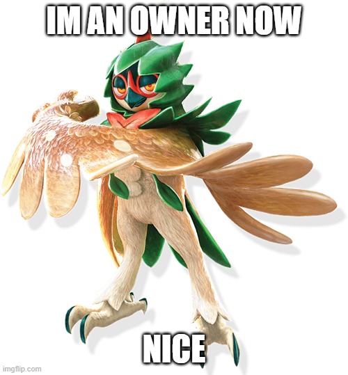 thx! | IM AN OWNER NOW; NICE | image tagged in decidueye | made w/ Imgflip meme maker