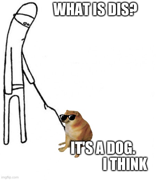 c'mon do something | WHAT IS DIS? IT'S A DOG.                 I THINK | image tagged in what is this,it's a dog | made w/ Imgflip meme maker