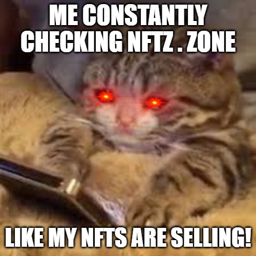 I'm loosing it | ME CONSTANTLY CHECKING NFTZ . ZONE; LIKE MY NFTS ARE SELLING! | image tagged in sad cat looking at phone | made w/ Imgflip meme maker