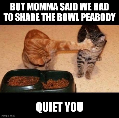 cats share food |  BUT MOMMA SAID WE HAD TO SHARE THE BOWL PEABODY; QUIET YOU | image tagged in cats share food | made w/ Imgflip meme maker