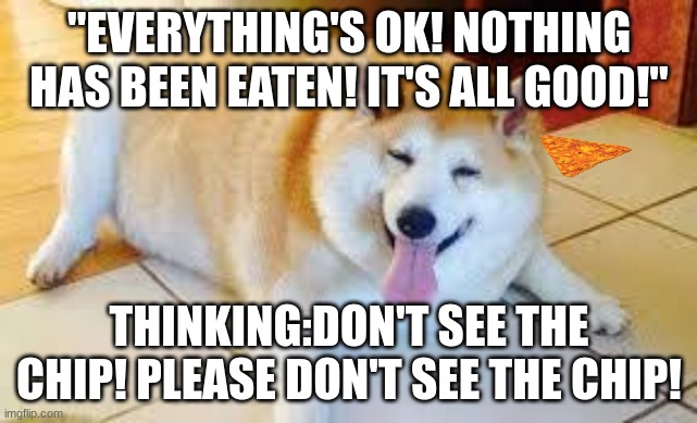 my sister's meme | "EVERYTHING'S OK! NOTHING HAS BEEN EATEN! IT'S ALL GOOD!"; THINKING:DON'T SEE THE CHIP! PLEASE DON'T SEE THE CHIP! | image tagged in thicc doggo,sister | made w/ Imgflip meme maker