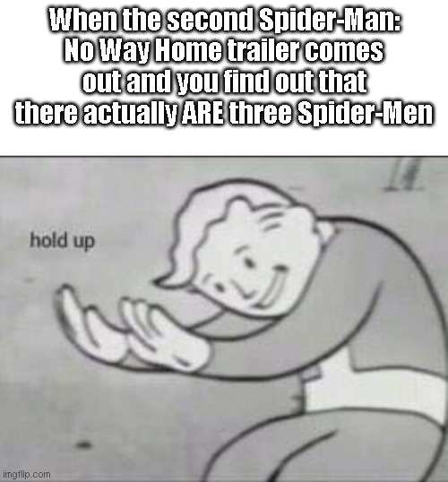 Fallout hold up with space on the top | When the second Spider-Man: No Way Home trailer comes out and you find out that there actually ARE three Spider-Men | image tagged in fallout hold up with space on the top | made w/ Imgflip meme maker