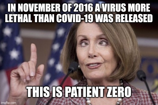 Nancy pelosi | IN NOVEMBER OF 2016 A VIRUS MORE
LETHAL THAN COVID-19 WAS RELEASED THIS IS PATIENT ZERO | image tagged in nancy pelosi | made w/ Imgflip meme maker