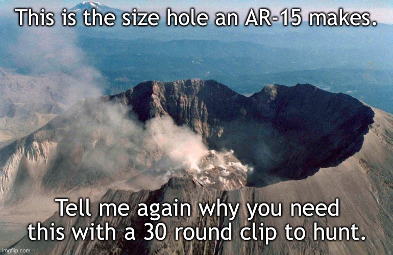 But muh second amendment! | This is the size hole an AR-15 makes. Tell me again why you need this with a 30 round clip to hunt. | made w/ Imgflip meme maker