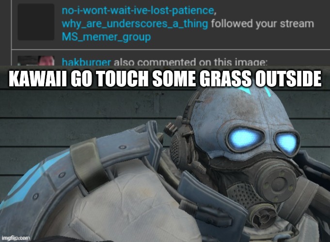 KAWAII GO TOUCH SOME GRASS OUTSIDE | image tagged in wallhammer | made w/ Imgflip meme maker