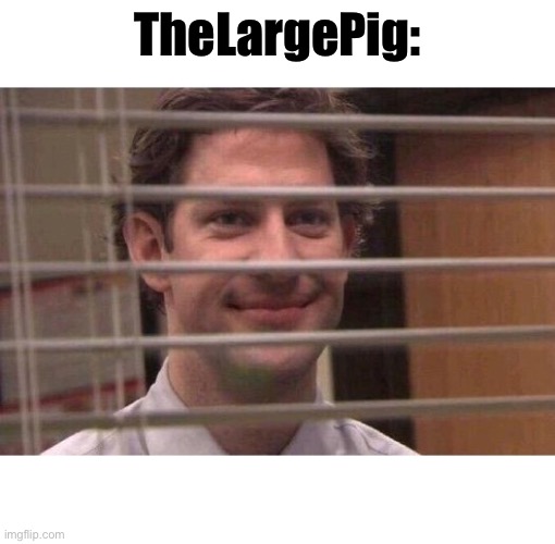 Jim Office Blinds | TheLargePig: | image tagged in jim office blinds | made w/ Imgflip meme maker