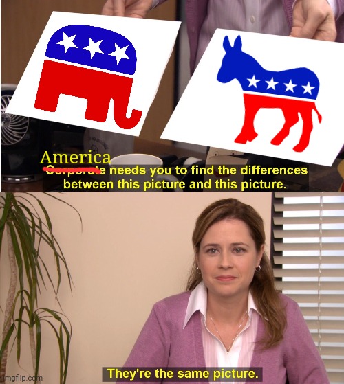 Same Colors Different Animal | America | image tagged in memes,they're the same picture | made w/ Imgflip meme maker