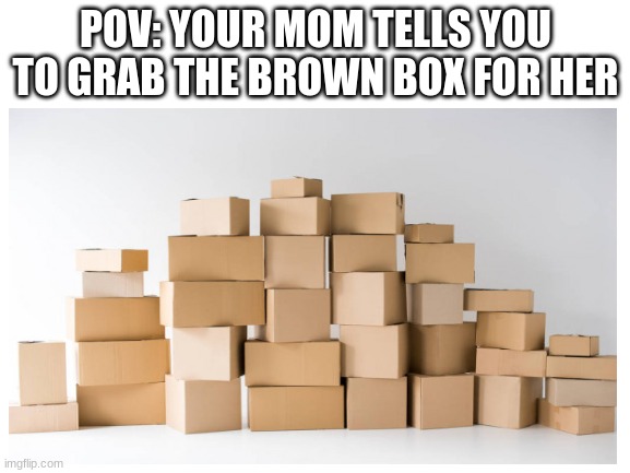 Just grab the brown box: | POV: YOUR MOM TELLS YOU TO GRAB THE BROWN BOX FOR HER | image tagged in box,moms,relatable,funny memes,fun,funny | made w/ Imgflip meme maker
