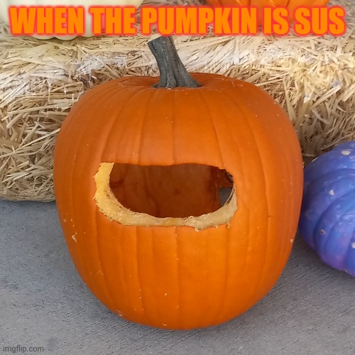 Among Us Pumpkin | WHEN THE PUMPKIN IS SUS | image tagged in among us | made w/ Imgflip meme maker