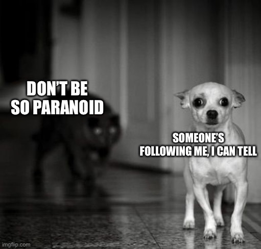 Following me | DON’T BE SO PARANOID; SOMEONE’S FOLLOWING ME, I CAN TELL | image tagged in paranoid,follow,followers | made w/ Imgflip meme maker