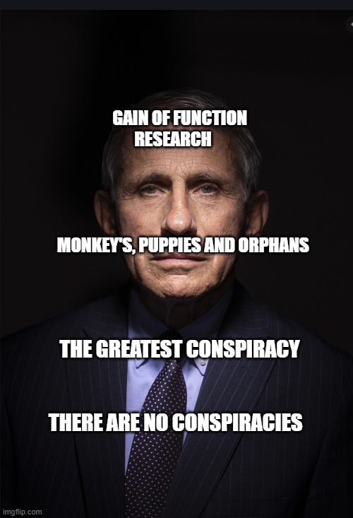 Fauci | GAIN OF FUNCTION       RESEARCH                                                         
                            MONKEY'S, PUPPIES AND ORPHANS; THE GREATEST CONSPIRACY                                       THERE ARE NO CONSPIRACIES | image tagged in fauci | made w/ Imgflip meme maker