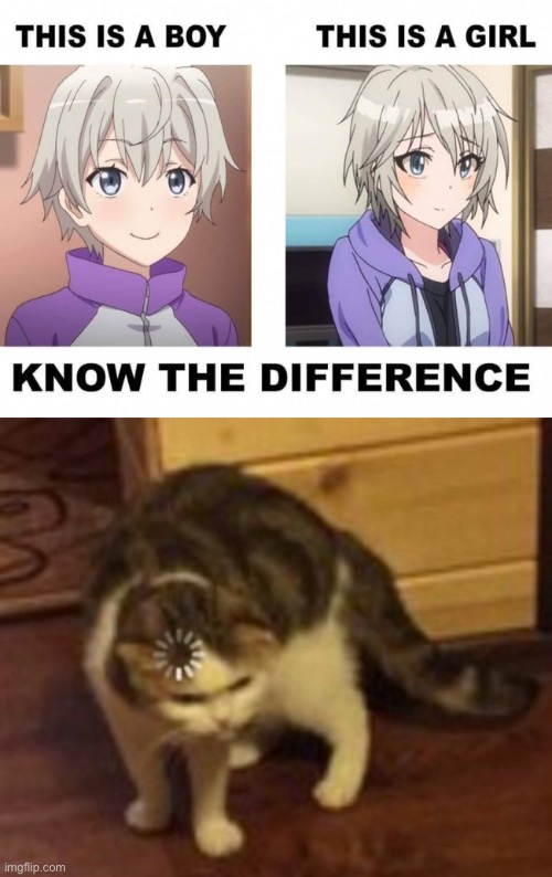 Funny difference between these two | image tagged in loading cat,anime,memes,funny,animation fails,dank memes | made w/ Imgflip meme maker