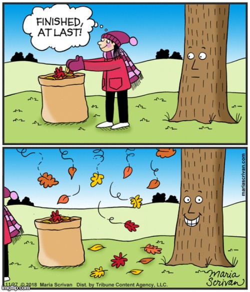 EVERY TIME | image tagged in tree,fall,comics/cartoons,leaves | made w/ Imgflip meme maker