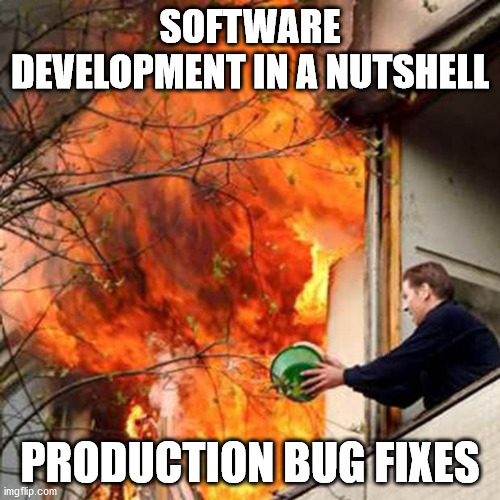 Software Development, Bug Fixes To Prod | SOFTWARE DEVELOPMENT IN A NUTSHELL; PRODUCTION BUG FIXES | image tagged in fire idiot bucket water | made w/ Imgflip meme maker