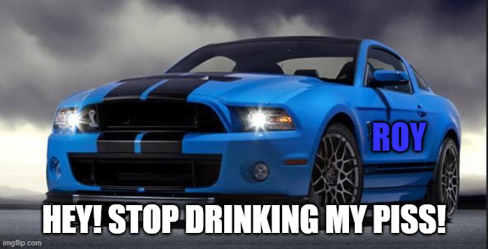 Mustang | ROY; HEY! STOP DRINKING MY PISS! | image tagged in mustang | made w/ Imgflip meme maker