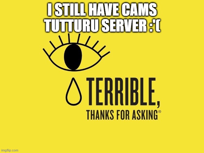bad | I STILL HAVE CAMS TUTTURU SERVER :'( | image tagged in bad | made w/ Imgflip meme maker