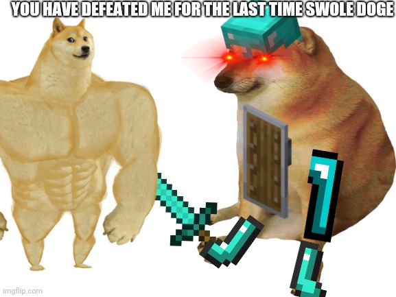 Doge |  YOU HAVE DEFEATED ME FOR THE LAST TIME SWOLE DOGE | image tagged in doge,buff doge vs cheems | made w/ Imgflip meme maker