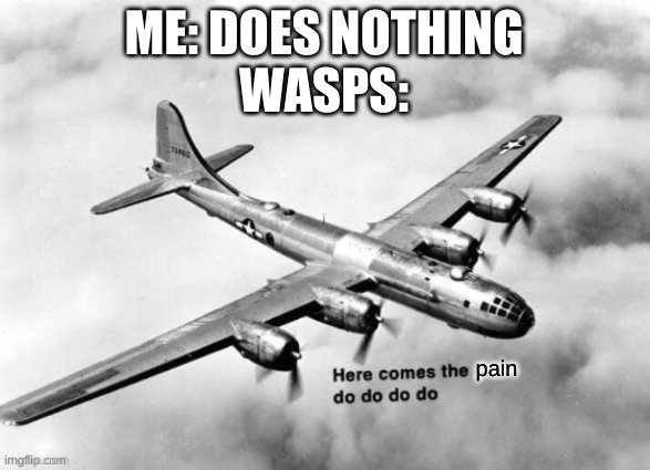 Here comes the sun dodododo B29 | ME: DOES NOTHING
WASPS:; pain | image tagged in here comes the sun dodododo b29 | made w/ Imgflip meme maker