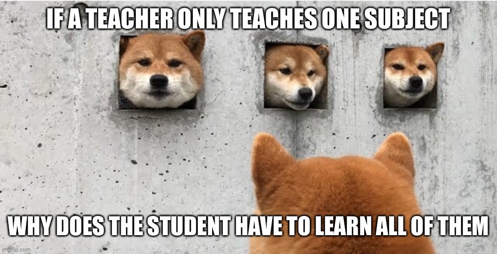 The doge council | IF A TEACHER ONLY TEACHES ONE SUBJECT; WHY DOES THE STUDENT HAVE TO LEARN ALL OF THEM | image tagged in the doge council | made w/ Imgflip meme maker