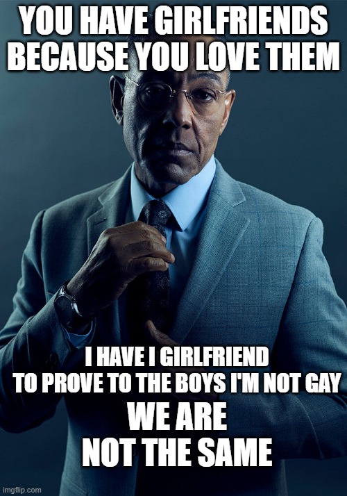 Gus Fring we are not the same | YOU HAVE GIRLFRIENDS BECAUSE YOU LOVE THEM; I HAVE I GIRLFRIEND TO PROVE TO THE BOYS I'M NOT GAY; WE ARE NOT THE SAME | image tagged in gus fring we are not the same | made w/ Imgflip meme maker