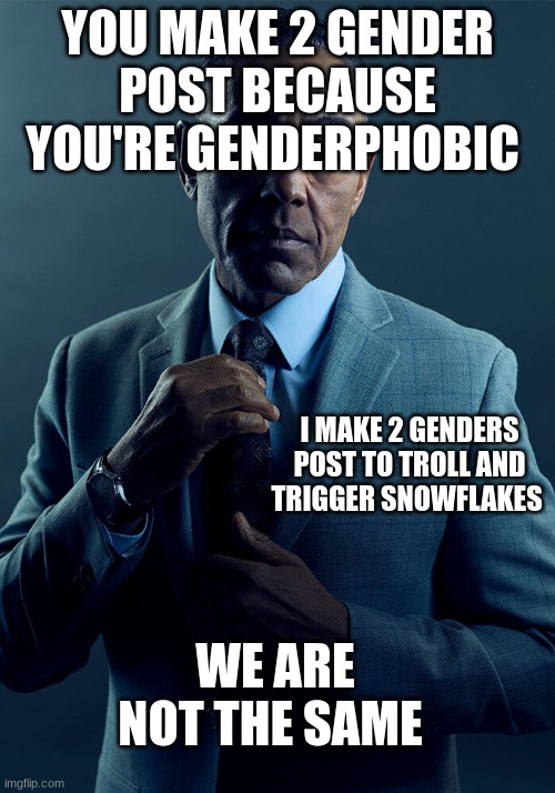 idk wtf to call it when you have offense to people saying there are more then 2 genders | YOU MAKE 2 GENDER POST BECAUSE YOU'RE GENDERPHOBIC; I MAKE 2 GENDERS POST TO TROLL AND TRIGGER SNOWFLAKES; WE ARE NOT THE SAME | image tagged in gus fring we are not the same | made w/ Imgflip meme maker