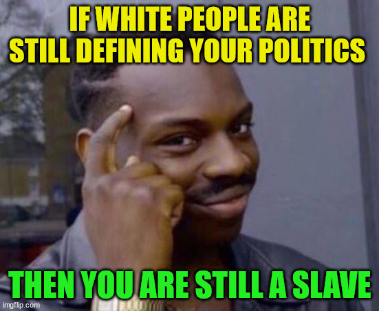 Smart black guy |  IF WHITE PEOPLE ARE STILL DEFINING YOUR POLITICS; THEN YOU ARE STILL A SLAVE | image tagged in smart black guy | made w/ Imgflip meme maker