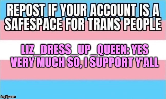 LIZ_DRESS_UP_QUEEN: YES VERY MUCH SO, I SUPPORT Y'ALL | image tagged in safespace for trans | made w/ Imgflip meme maker