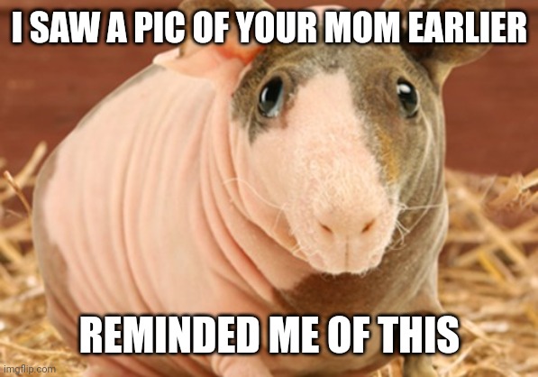 Your mom | I SAW A PIC OF YOUR MOM EARLIER; REMINDED ME OF THIS | image tagged in your mom | made w/ Imgflip meme maker