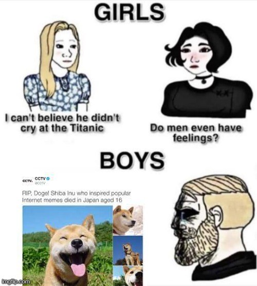 rip doge | image tagged in do men even have feelings | made w/ Imgflip meme maker