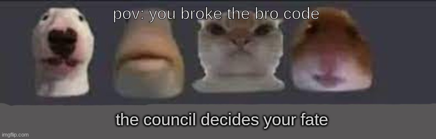 bro's before hoe's remember that fellas | pov: you broke the bro code | image tagged in the council decides your fate-2 | made w/ Imgflip meme maker