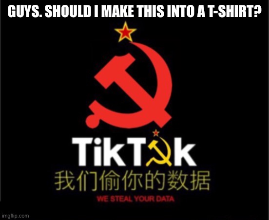 Should I? | GUYS. SHOULD I MAKE THIS INTO A T-SHIRT? | image tagged in tiktok logo | made w/ Imgflip meme maker