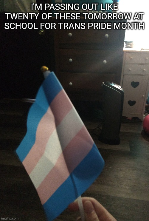Happy trans month! |  I'M PASSING OUT LIKE TWENTY OF THESE TOMORROW AT SCHOOL FOR TRANS PRIDE MONTH | made w/ Imgflip meme maker